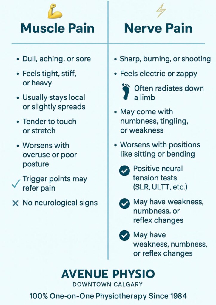 #4 muscle pain vs nerve pain