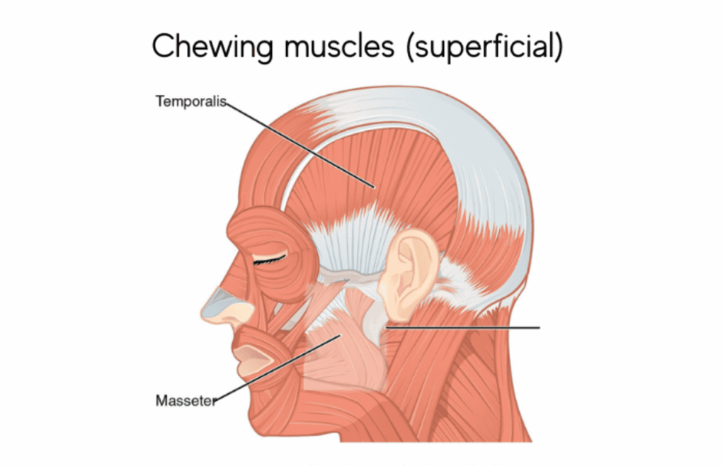 why does your jaw click when you open your mouth