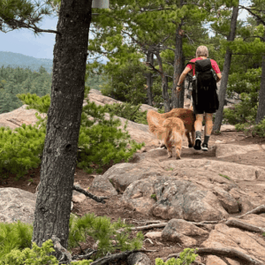 person hiking through woods