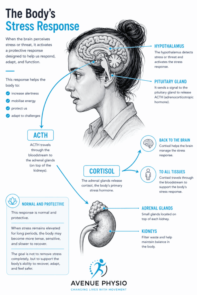 recovery stress sleep tension effect
