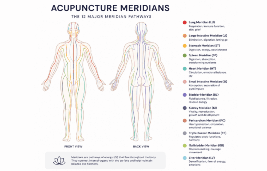 dry needling vs acupuncture differences