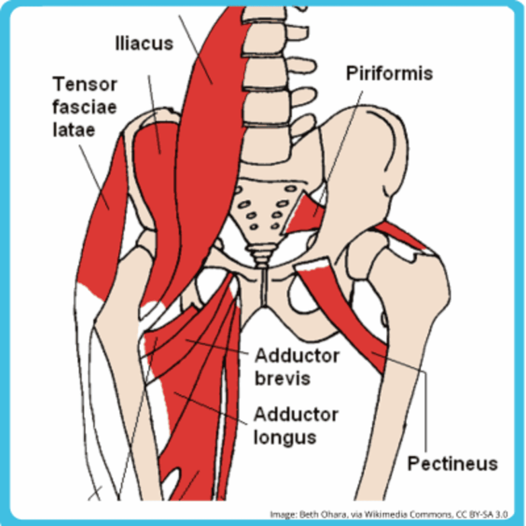 hip pain causes and treatment