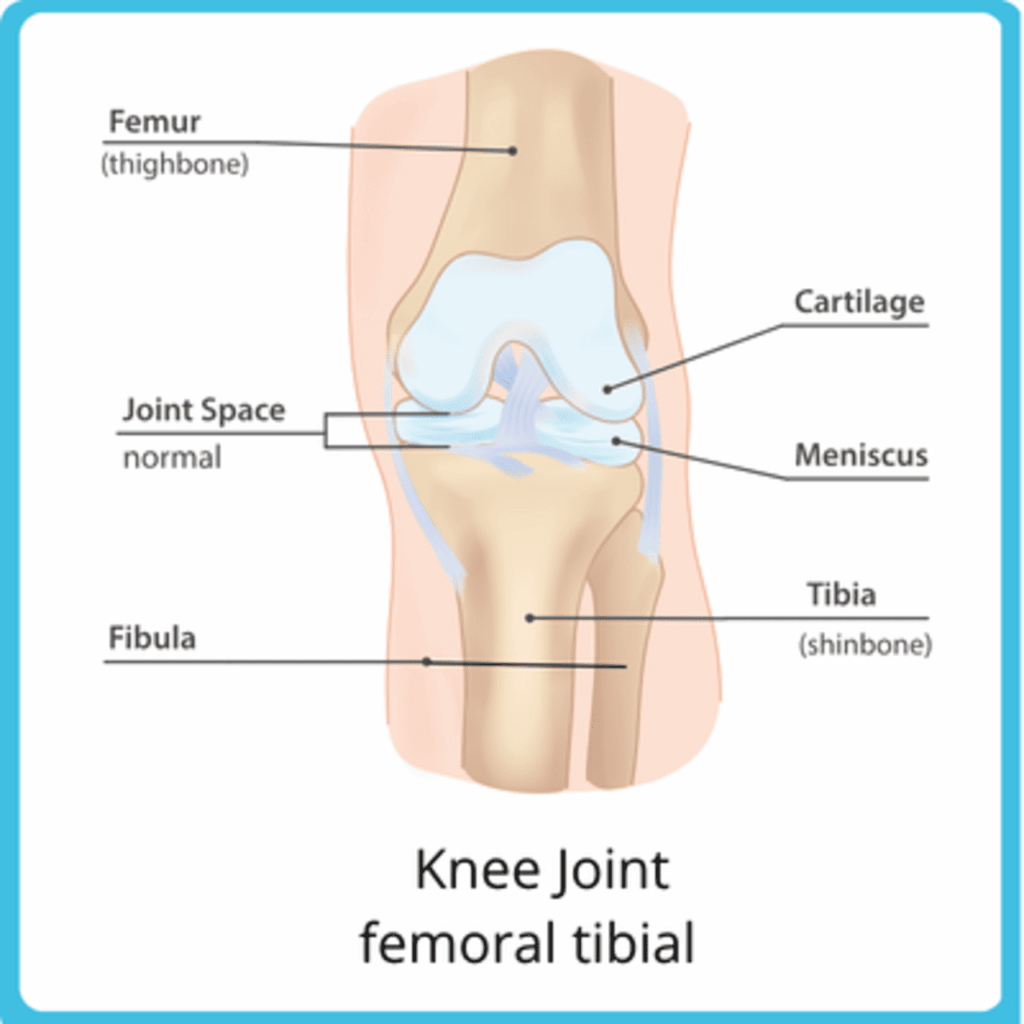 osteoarthritis isnt the same in all of your joints